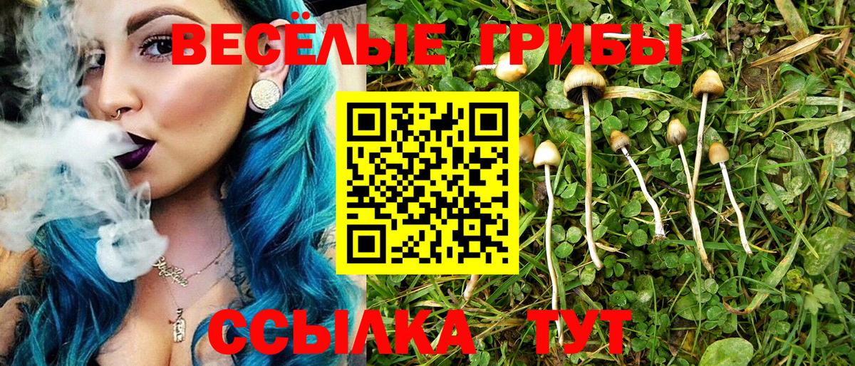 Ишимбай  Галлюциногенные грибы MAGIC MUSHROOMS  Галлюциногенные грибы MAGIC MUSHROOMS  Вход с VPN 